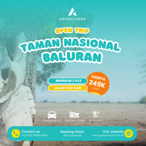 OPEN TRIP BALURAN NATIONAL PARK