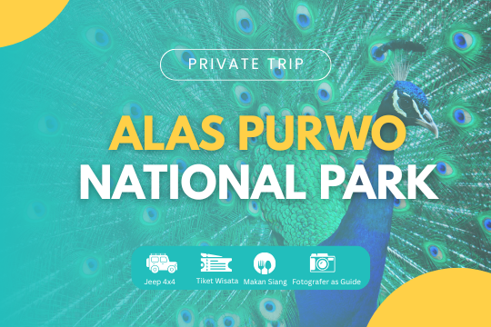 PRIVATE TRIP ALAS PURWO NATIONAL PARK
