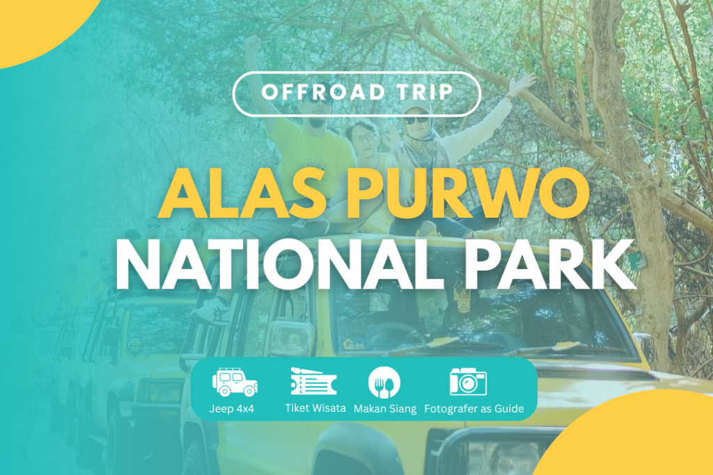 TRIP OFFROAD JEEP ALAS PURWO NATIONAL PARK