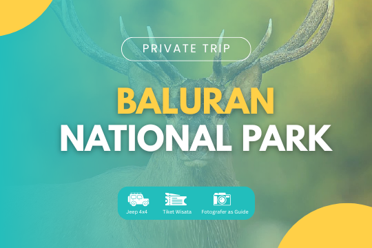 PRIVATE TRIP BALURAN NATIONAL PARK
