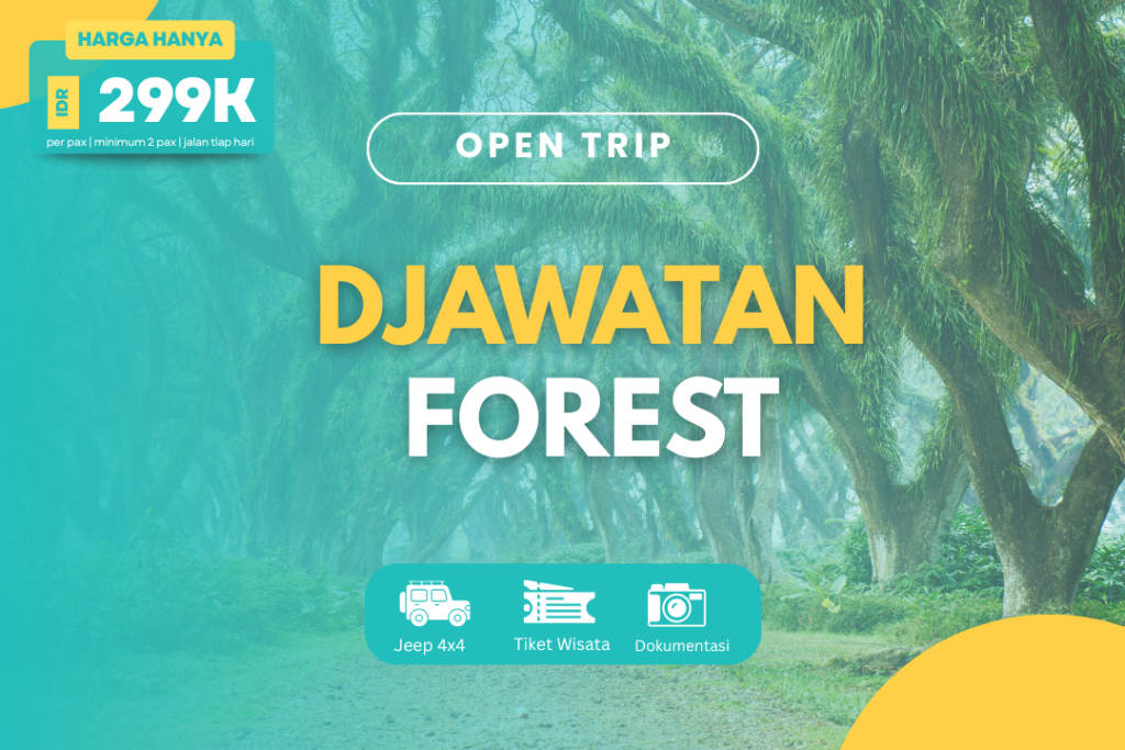 OPEN TRIP DJAWATAN FOREST