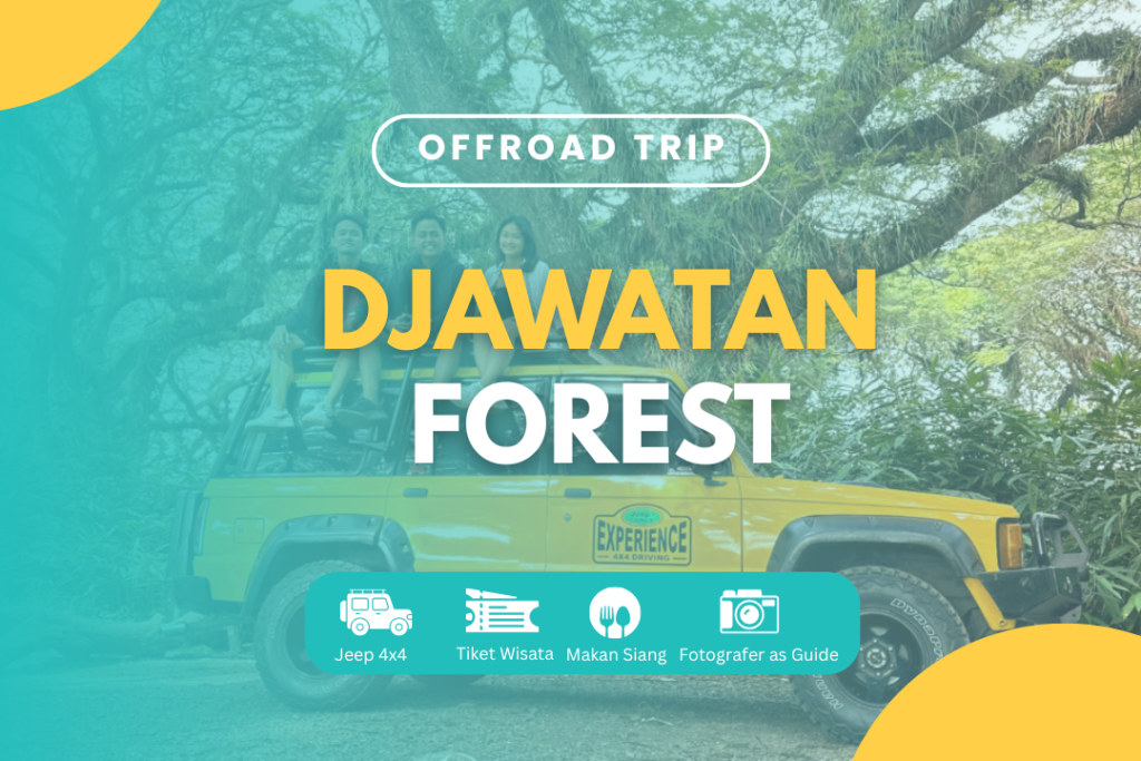 TRIP OFFROAD JEEP DJAWATAN FOREST