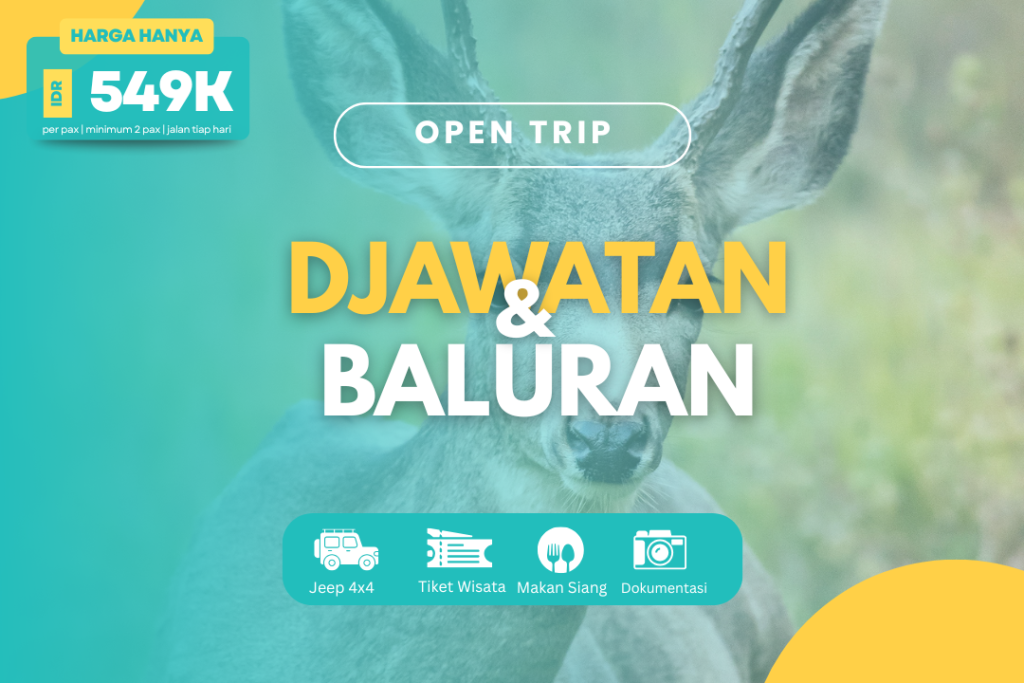 OPEN TRIP DJAWATAN FOREST & BALURAN
