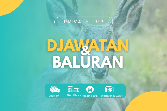 PRIVATE TRIP DJAWATAN FOREST & BALURAN