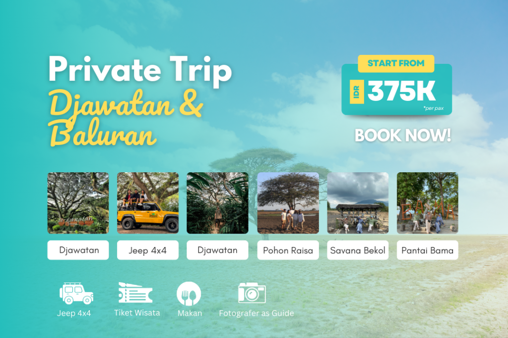 Private Trip Djawatan & Baluran