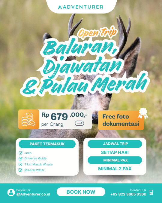 OPEN TRIP BALURAN DJAWATAN PULAU MERAH