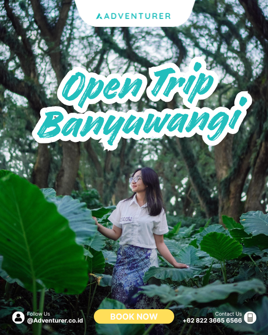 OPEN TRIP BANYUWANGI