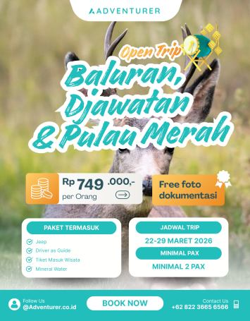 OPEN TRIP BALURAN DJAWATAN PULAU MERAH